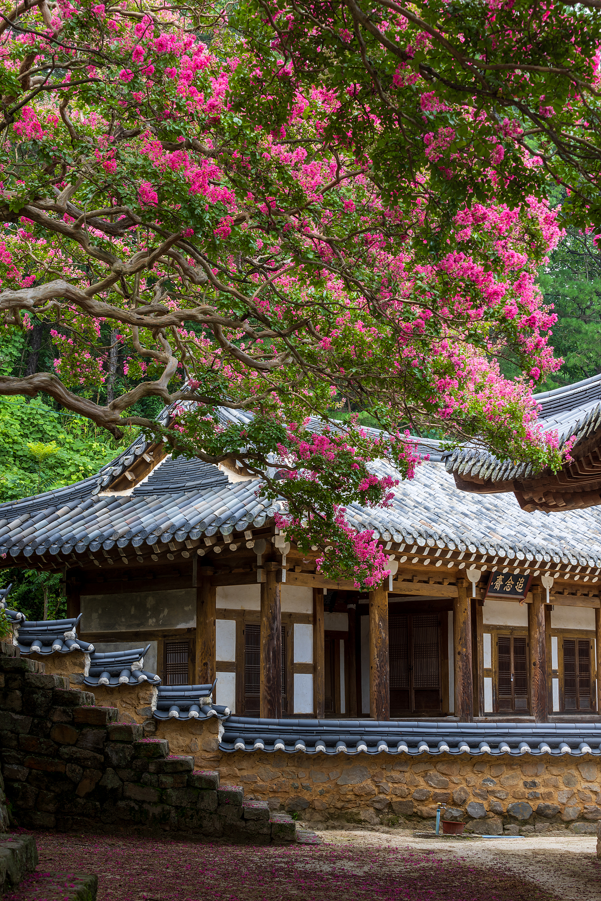 | PHOTO BY : 조현래  |