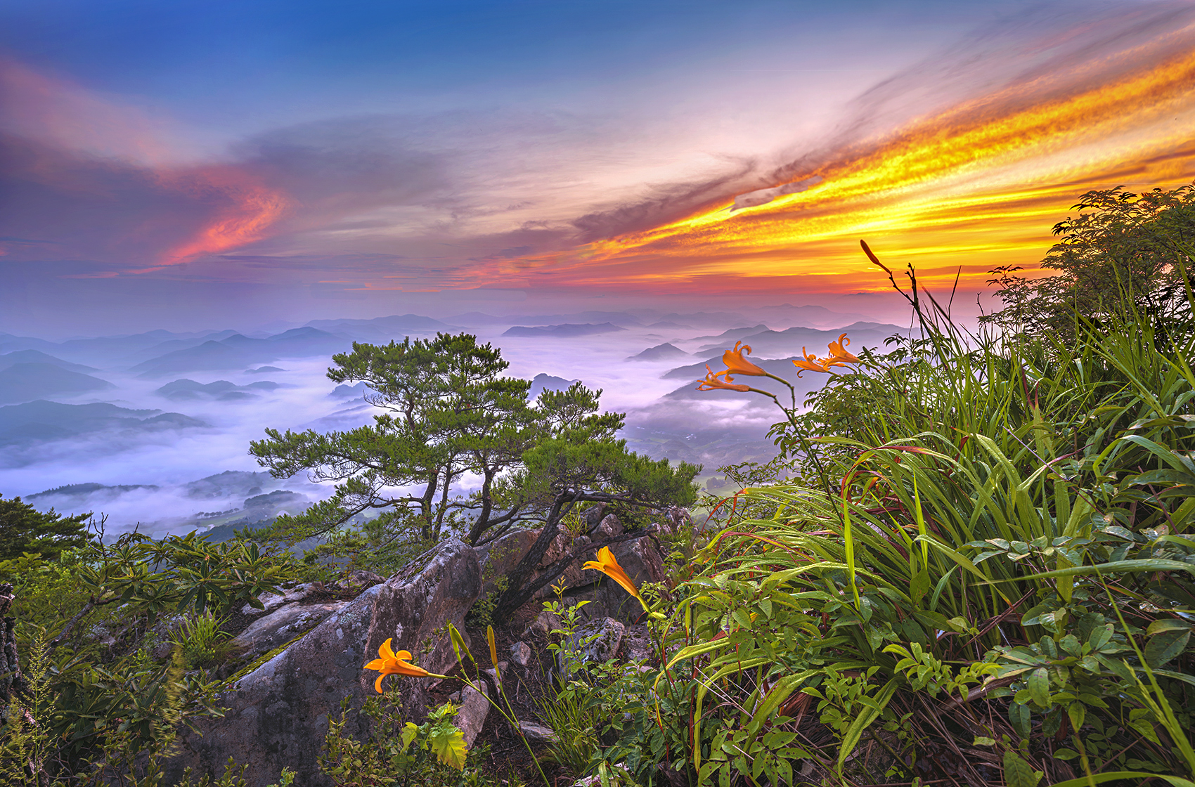 PHOTO BY  | NIKON Z 7_2 | 2024:08:08 05:40:17 | ISO-50 | 4/10 sec | f 11 | 16.5 mm | EV=0 | ● WIDTH:1700 pixels  HEIGHT:1120 pixels