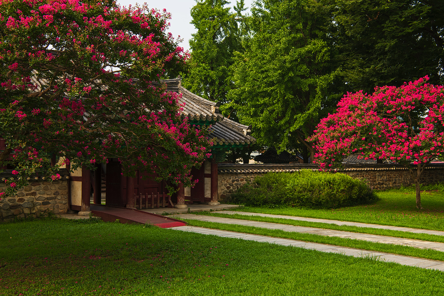 PHOTO BY  | NIKON D850 | 2024:08:13 08:33:22 | ISO-200 | 1/80 sec | f 11 | 46 mm | EV=0 | ● WIDTH:1500 pixels  HEIGHT:1000 pixels