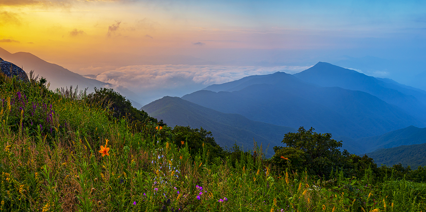 PHOTO BY  | NIKON D850 | 2024:08:13 05:57:56 | ISO-100 | 1/30 sec | f 16 | 26 mm | EV=-1.3 | ● WIDTH:1400 pixels  HEIGHT:698 pixels