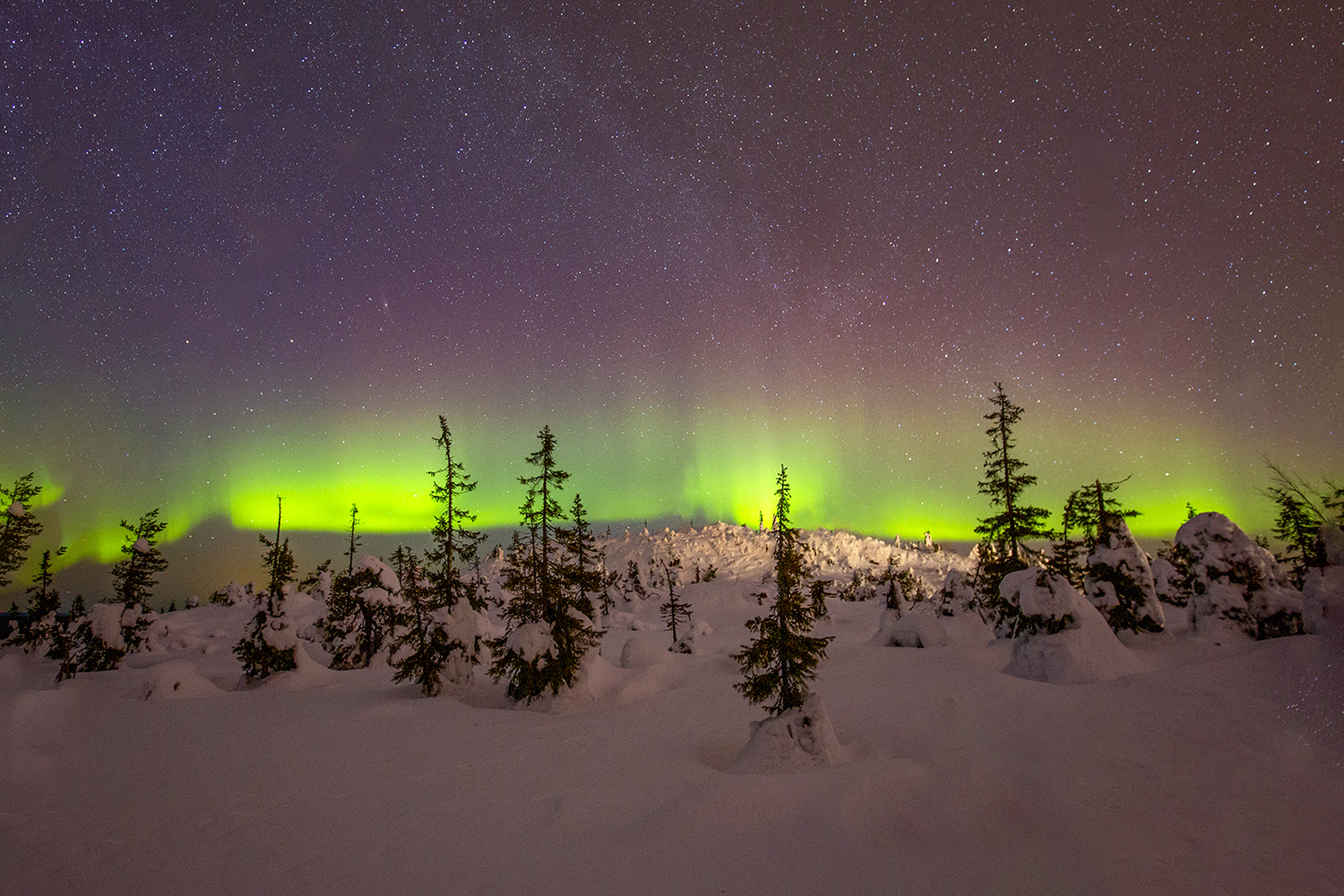 PHOTO BY  | CanonCanon  |  | ISO- |  |  |  | EV=0 | ● WIDTH:  HEIGHT: