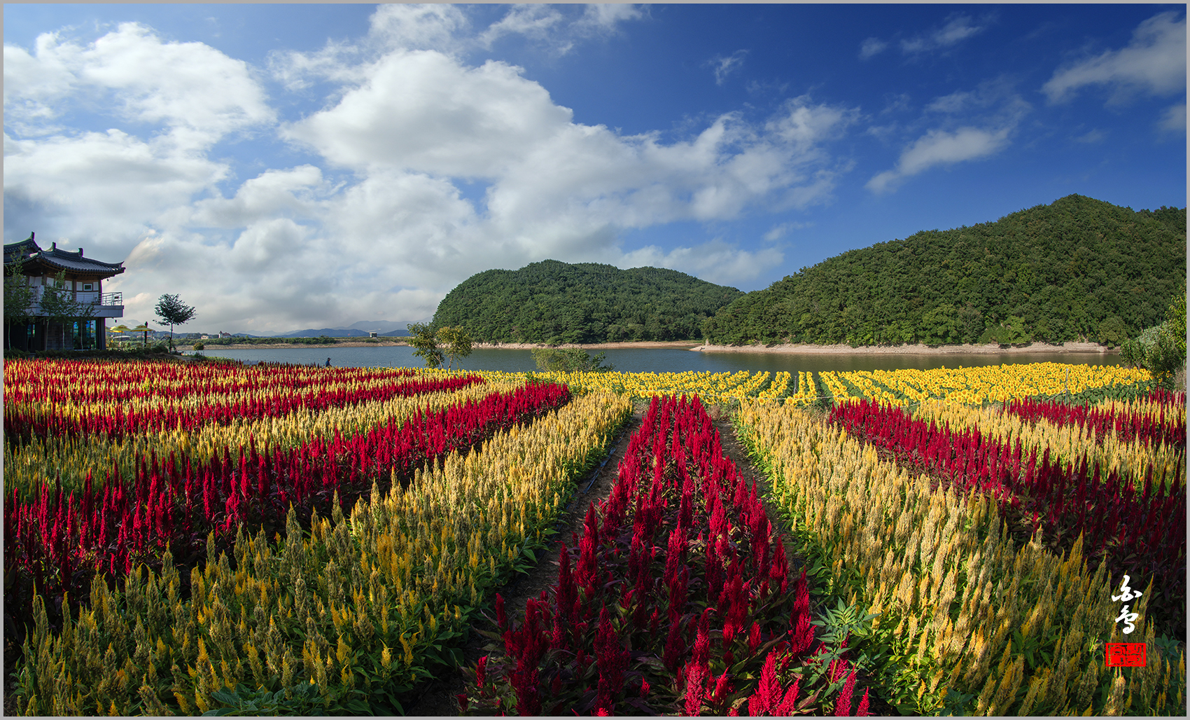 PHOTO BY  | NIKON D850 | 2024:08:13 07:44:56 | ISO-200 | 1/400 sec | f 11 | 16 mm | EV=-0.7 | ● WIDTH:1700 pixels  HEIGHT:1028 pixels