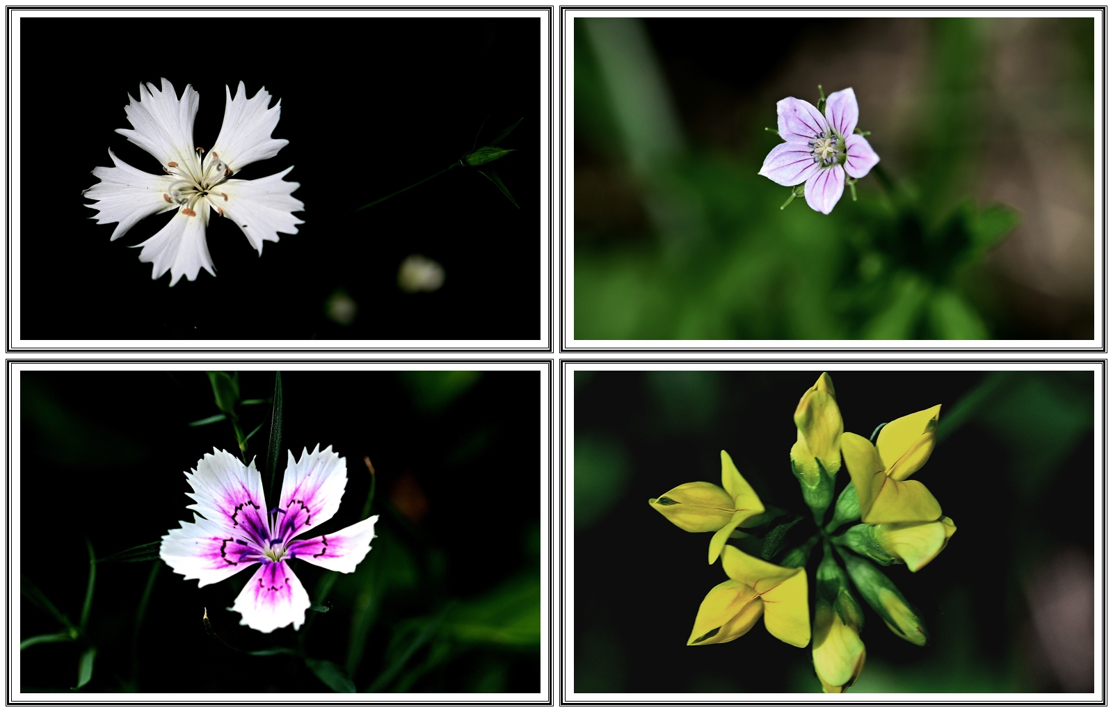 | PHOTO BY : 청산이종원  |