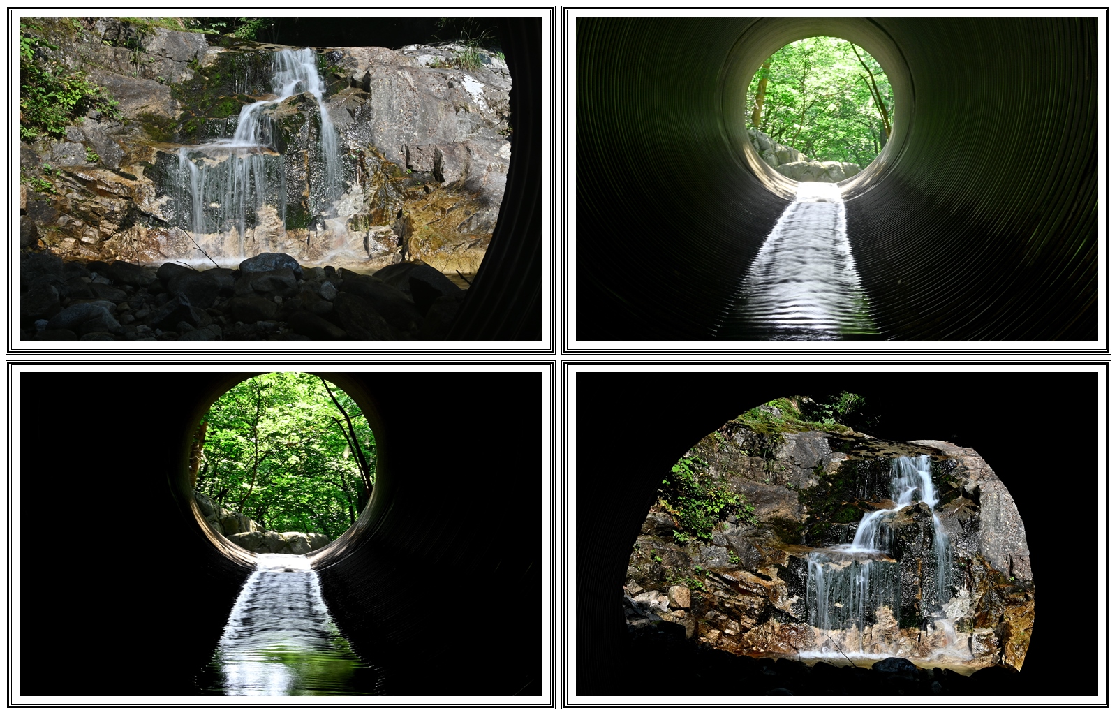 | PHOTO BY : 청산이종원  |