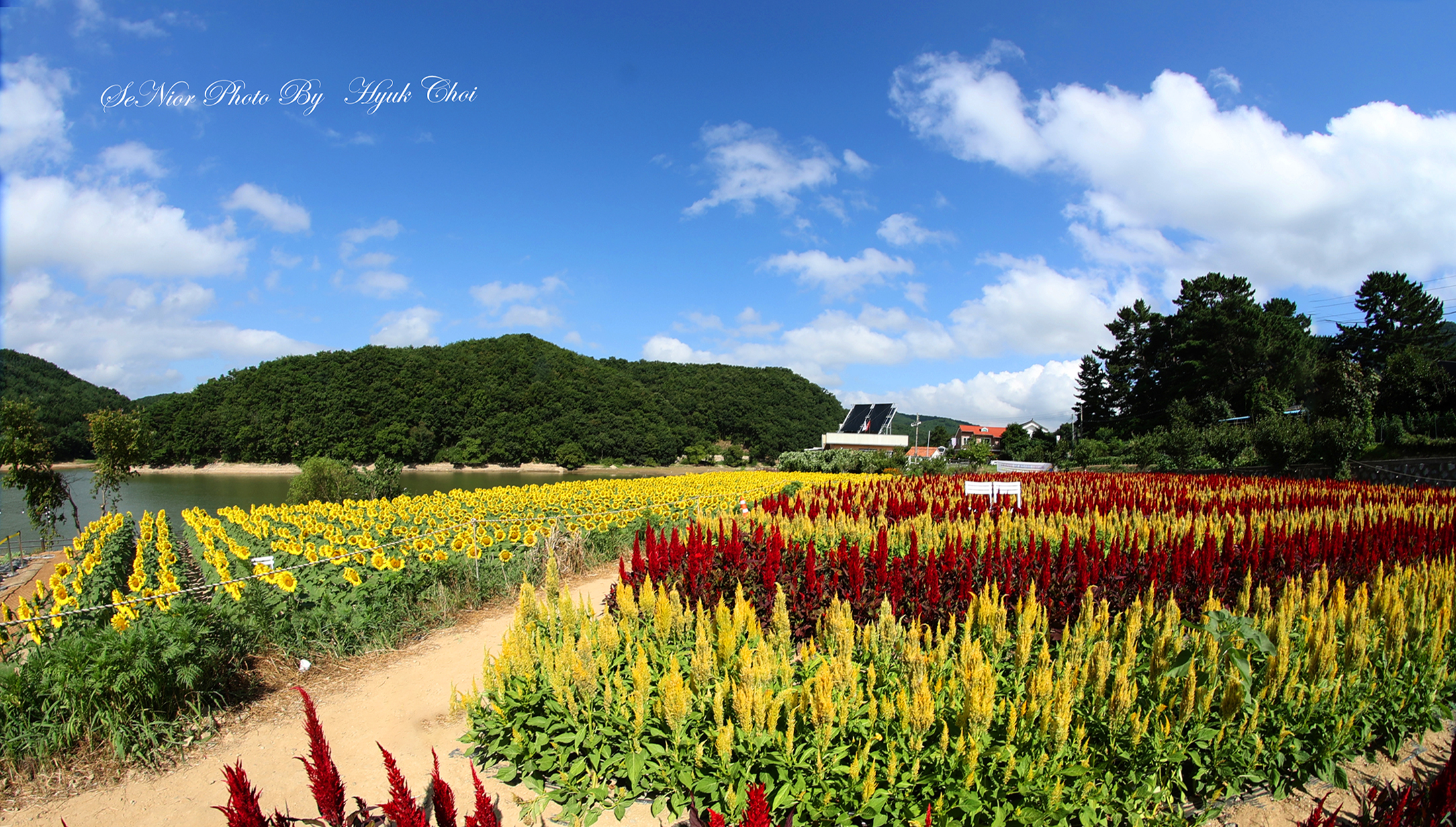 PHOTO BY  | Canon EOS R6 | 2024:08:13 09:32:02 | ISO-100 | 1/125 sec | f 0 | 0 mm | EV=0 | ● WIDTH:2200 pixels  HEIGHT:1250 pixels