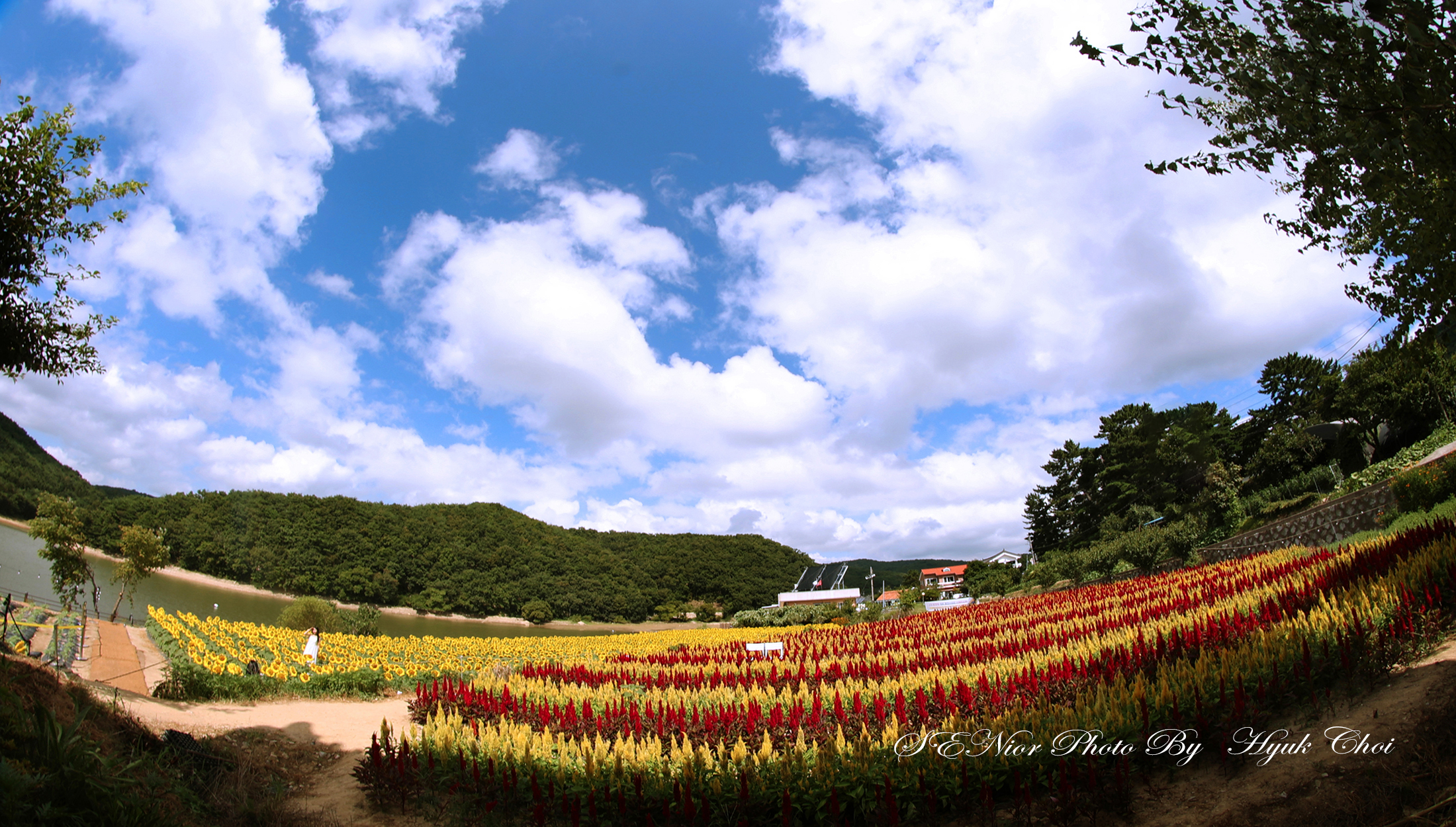 PHOTO BY  | Canon EOS R6 | 2024:08:13 10:07:28 | ISO-100 | 1/100 sec | f 0 | 0 mm | EV=0 | ● WIDTH:2200 pixels  HEIGHT:1250 pixels