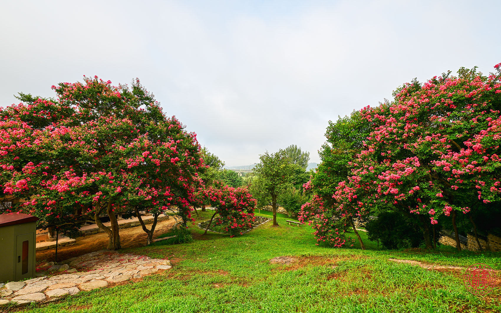 PHOTO BY KKY_CWANG_YEOL | NIKON Z 8 | 2024:08:07 07:06:37 | ISO-160 | 1/160 sec | f 7.1 | 15 mm | EV=0 | ● WIDTH:1700 pixels  HEIGHT:1063 pixels