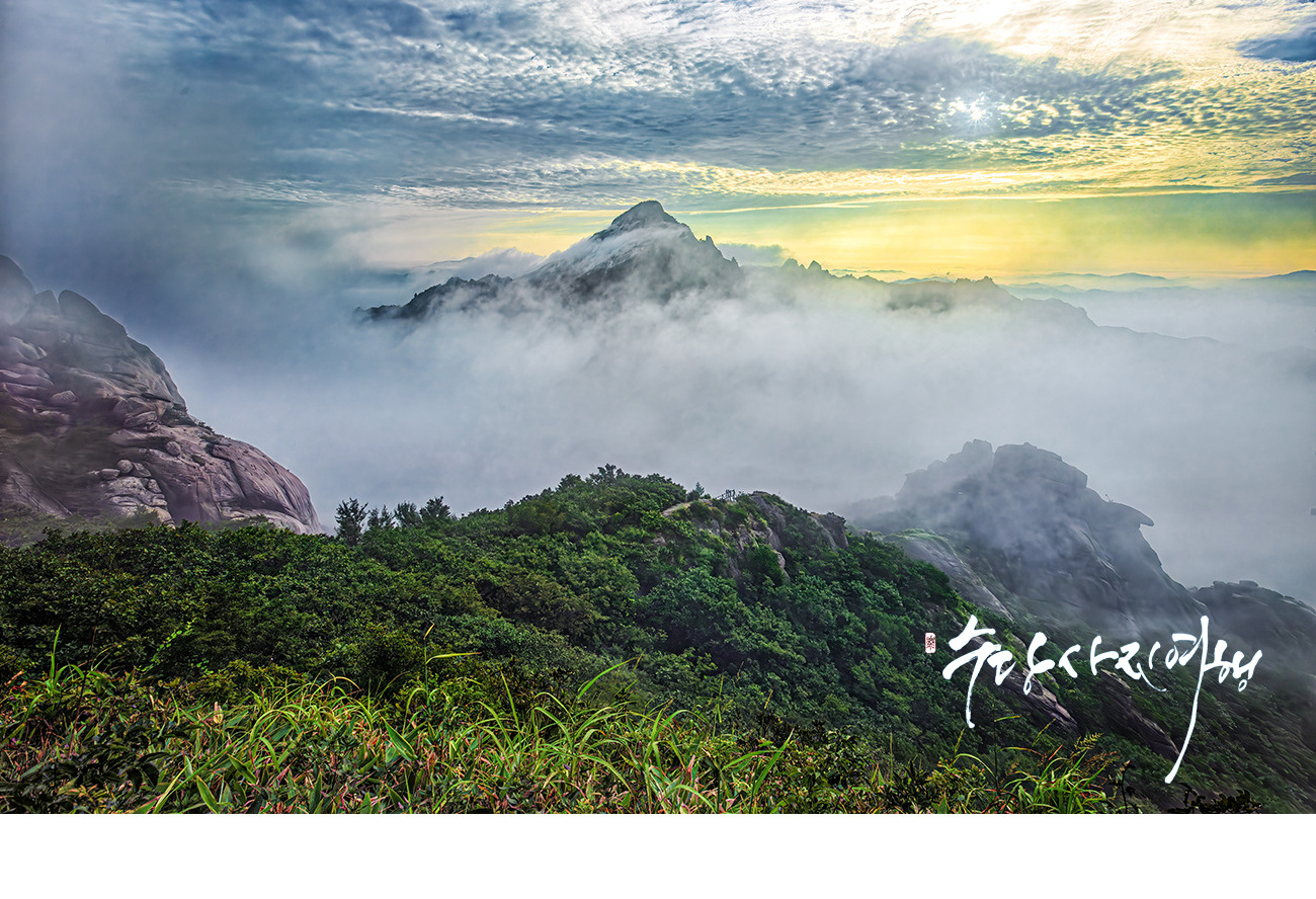   | PHOTO BY : 수당/박상돈  |