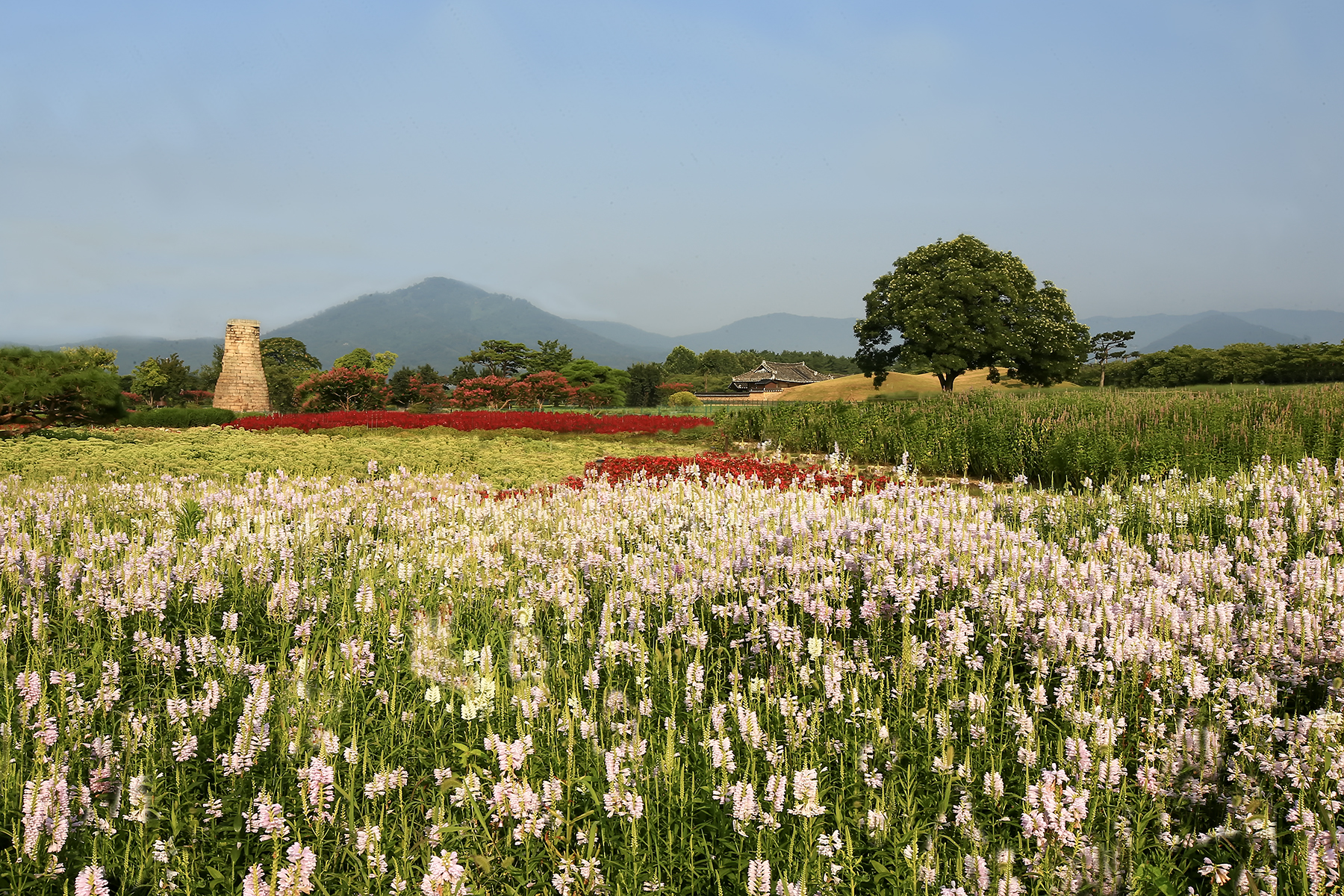 PHOTO BY ChoiJunqSeop | Canon EOS-1D X Mark II | 2024:08:14 07:24:03 | ISO-800 | 1/320 sec | f 6.3 | 300 mm | EV=0 | ● WIDTH:1800 pixels  HEIGHT:1200 pixels