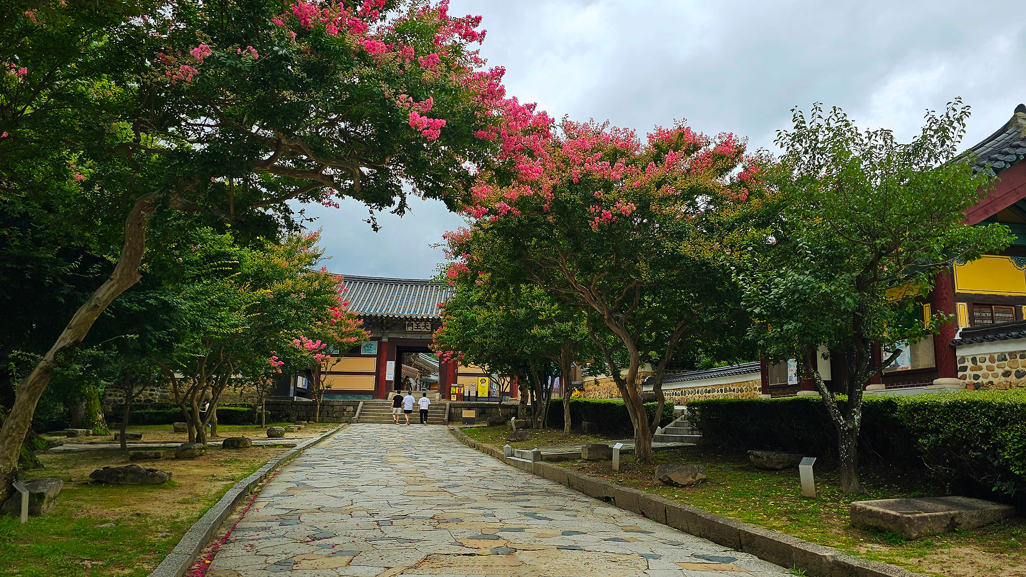 | PHOTO BY : 몰운대/조태열  |