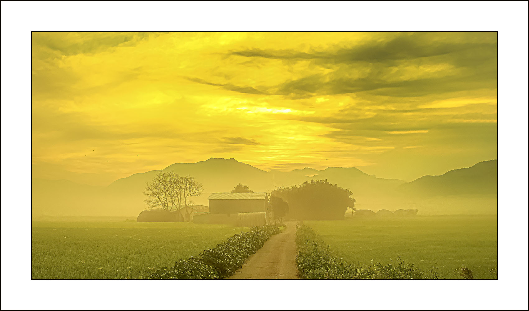 | PHOTO BY : 삿갓/정봉식  |