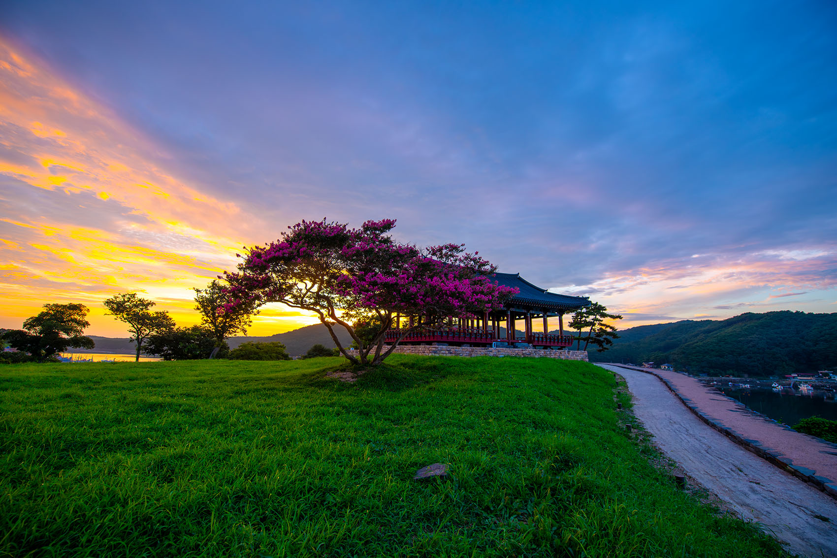 PHOTO BY  | NIKON D850 | 2024:08:06 19:13:33 | ISO-320 | 1/125 sec | f 5 | 14 mm | EV=0 | ● WIDTH:1700 pixels  HEIGHT:1133 pixels