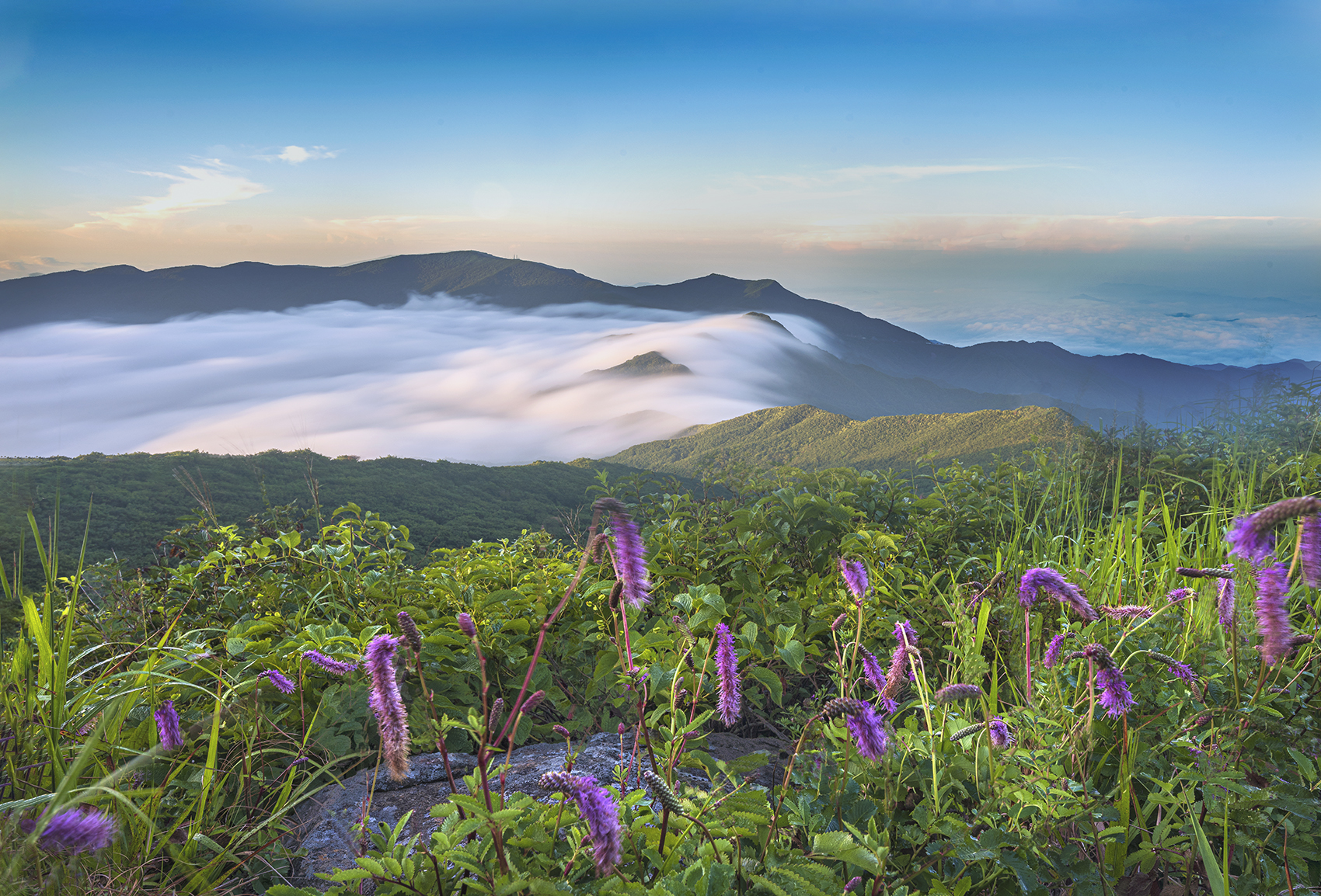 | PHOTO BY : 지피지기/김순권  |