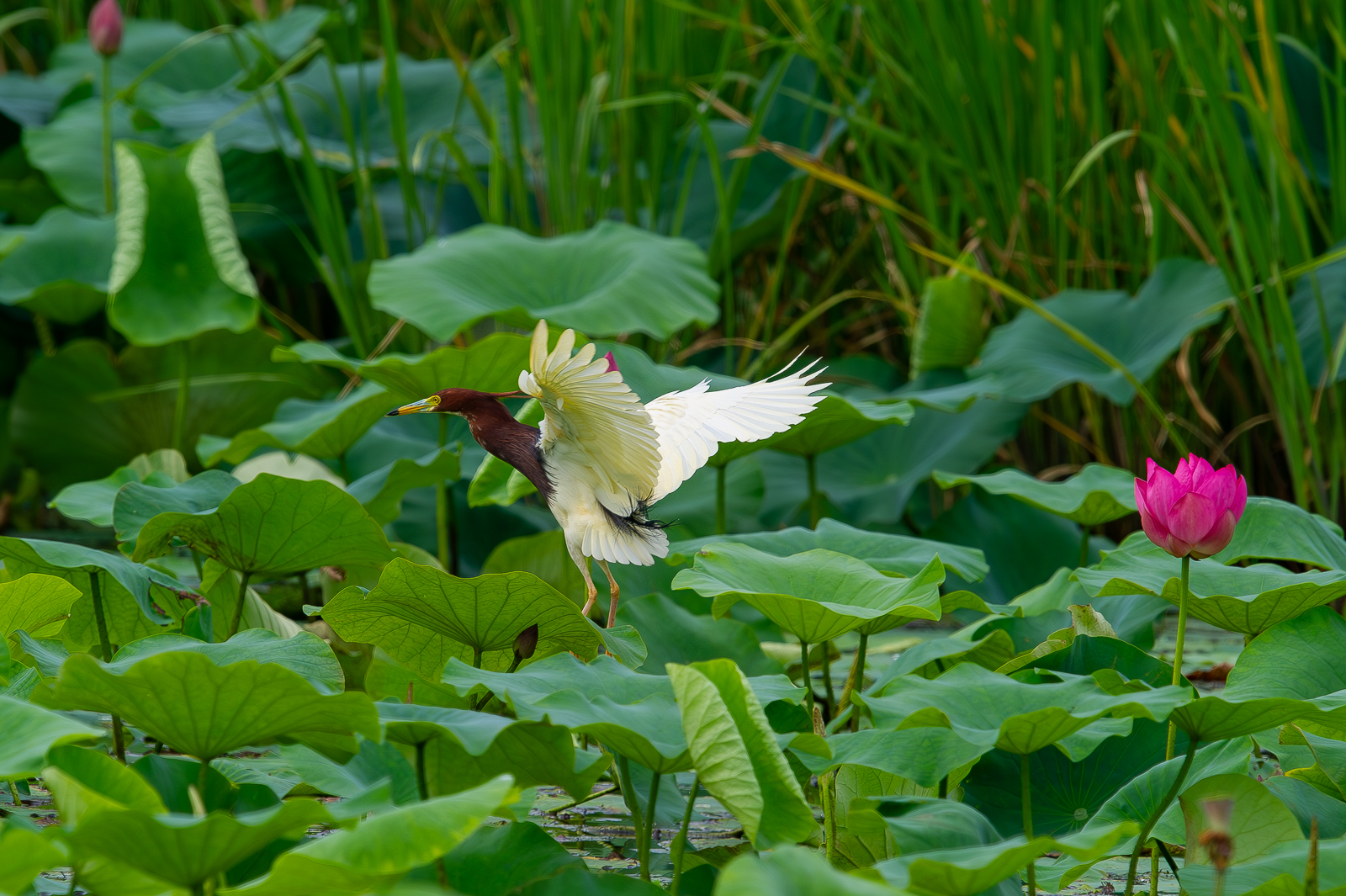   | PHOTO BY : 光陽/김덕수  |