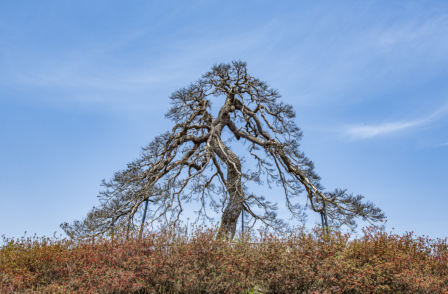 PHOTO BY  | KON CORPORA |  | ISO- |  |  |  | EV=0 | ● WIDTH:  HEIGHT: