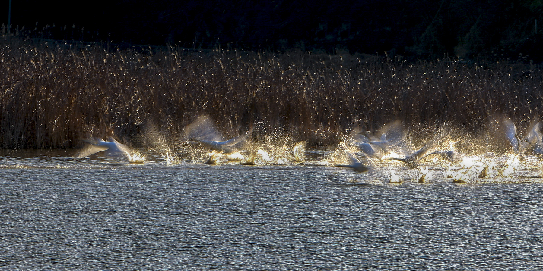 PHOTO BY  | CanonCanon  |  | ISO- |  |  |  | EV=0 | ● WIDTH:  HEIGHT: