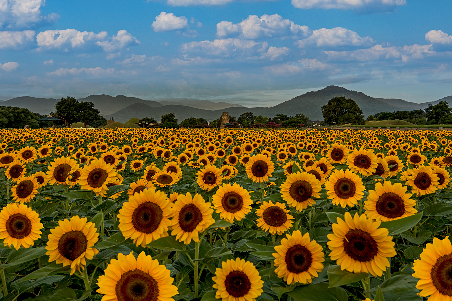 PHOTO BY  | NIKON D850 | 2024:08:14 05:57:09 | ISO-200 | 1/40 sec | f 11 | 38 mm | EV=-0.3 | ● WIDTH:1500 pixels  HEIGHT:1000 pixels