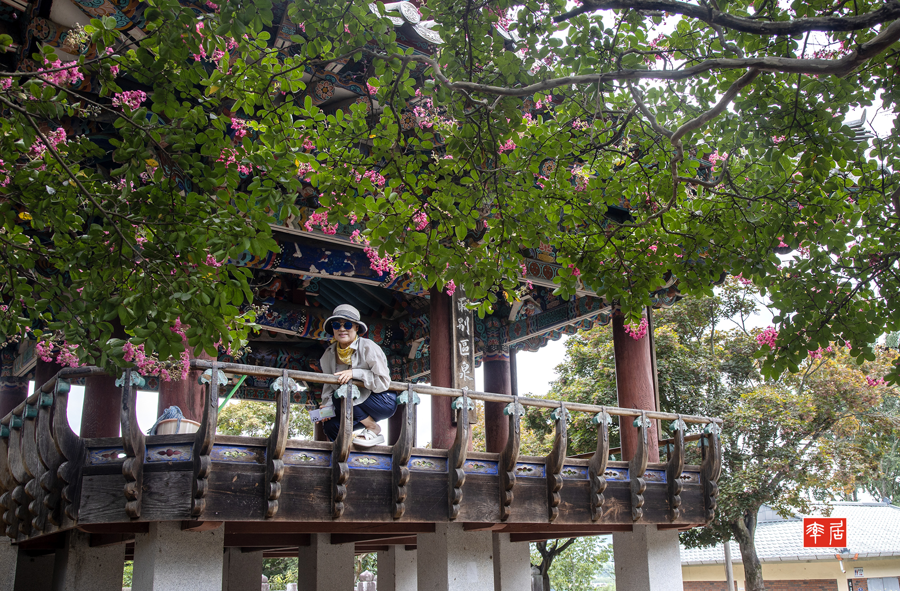 PHOTO BY changickheun | Canon EOS-1D X Mark III | 2024:08:08 11:48:54 | ISO-200 | 1/50 sec | f 10 | 32 mm | EV=0 | ● WIDTH:1800 pixels  HEIGHT:1181 pixels