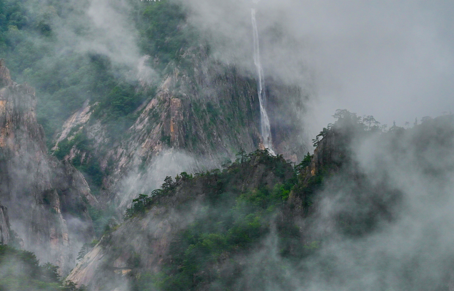 PHOTO BY CHUNG HYUN SUK | NIKON Z 7_2 | 2024:07:18 15:50:51 | ISO-250 | 1/125 sec | f 11 | 100 mm | EV=0.3 | ● WIDTH:1500 pixels  HEIGHT:960 pixels