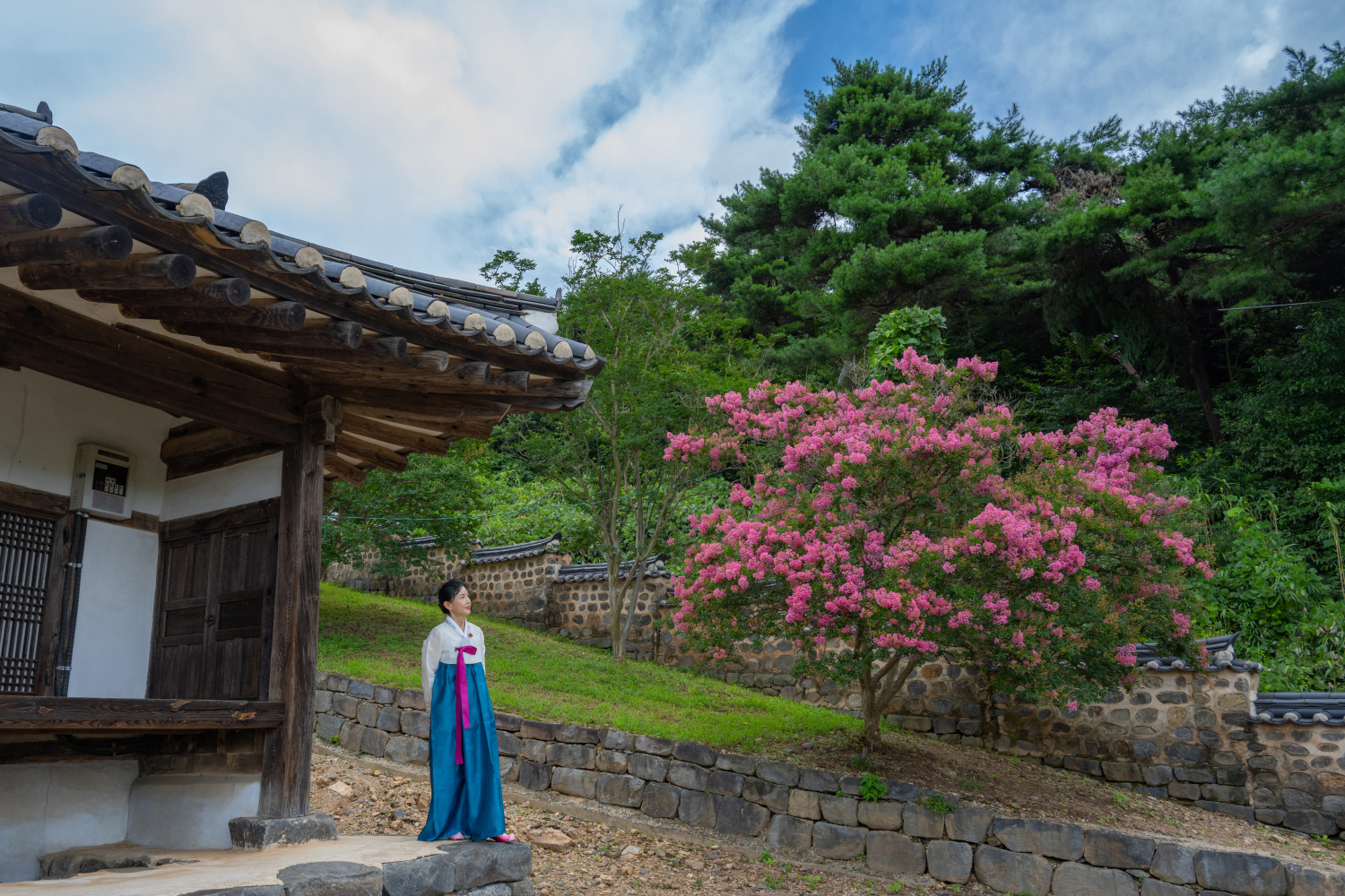 PHOTO BY CHUNG HYUN SUK | NIKON Z 7_2 | 2024:07:25 11:07:40 | ISO-200 | 1/320 sec | f 7.1 | 24 mm | EV=0.3 | ● WIDTH:1500 pixels  HEIGHT:1000 pixels