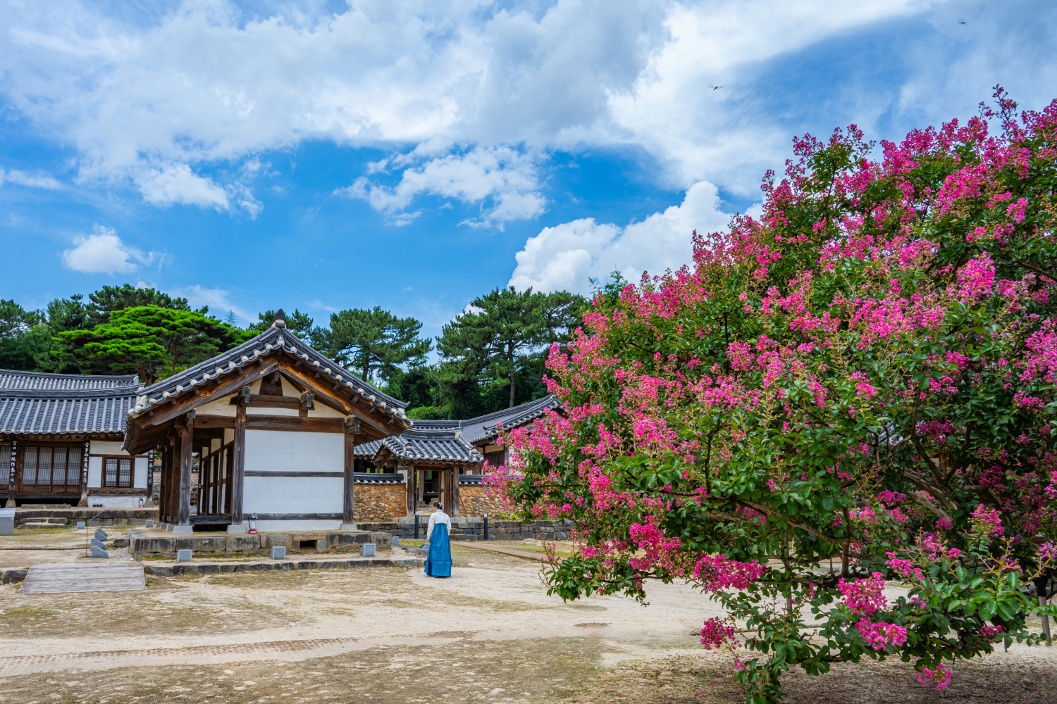 PHOTO BY CHUNG HYUN SUK | NIKON Z 7_2 | 2024:07:25 13:06:31 | ISO-200 | 1/160 sec | f 11 | 24 mm | EV=-0.3 | ● WIDTH:1500 pixels  HEIGHT:1000 pixels