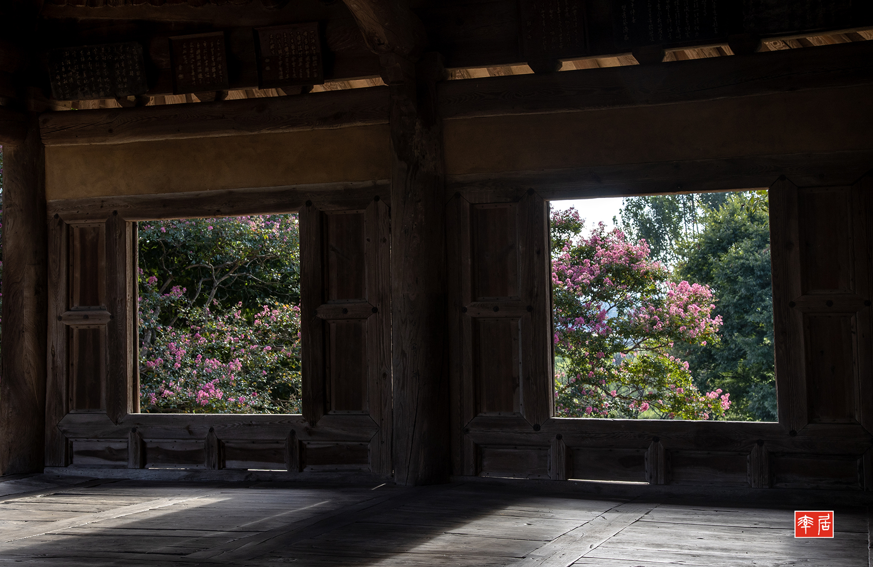 PHOTO BY changickheun | Canon EOS-1D X Mark III | 2024:08:14 17:02:48 | ISO-200 | 1/125 sec | f 8 | 47 mm | EV=0 | ● WIDTH:1800 pixels  HEIGHT:1168 pixels