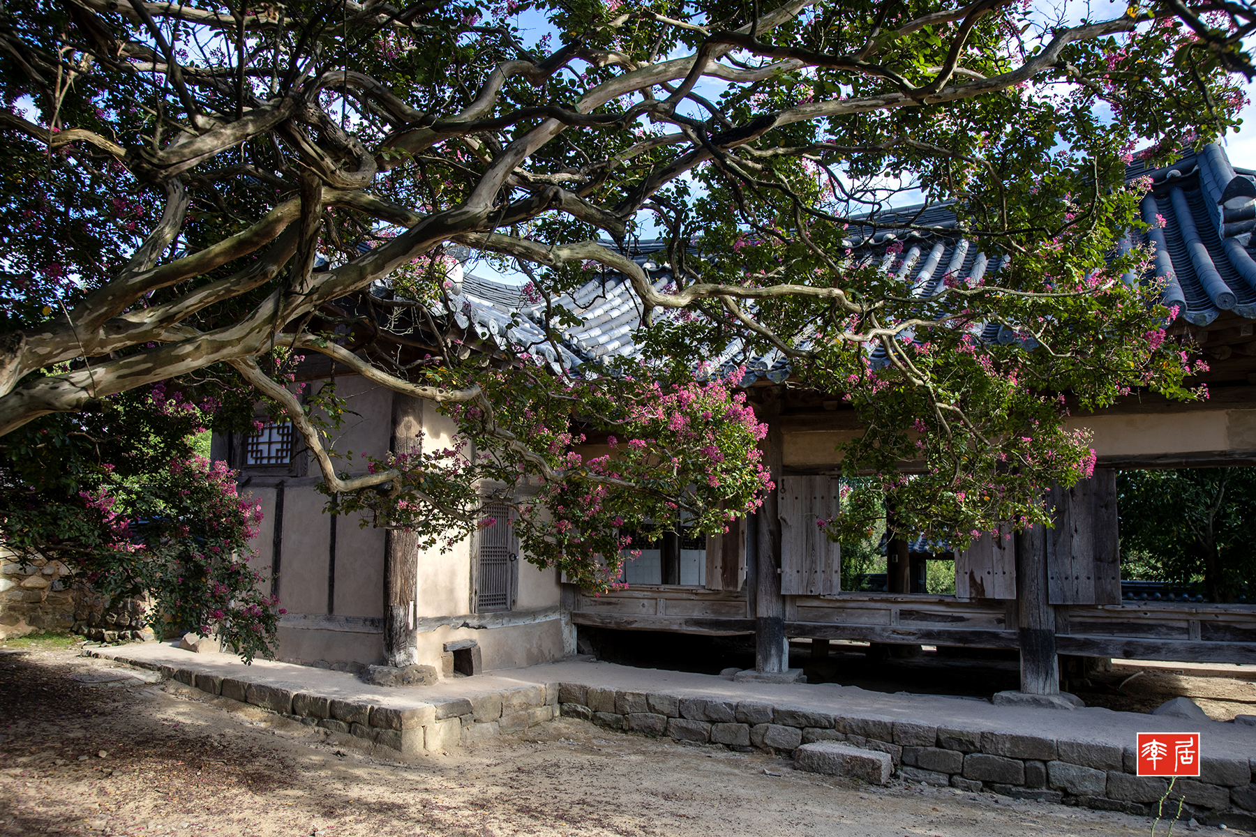 PHOTO BY changickheun | Canon EOS-1D X Mark III | 2024:08:14 17:03:35 | ISO-200 | 1/125 sec | f 7.1 | 32 mm | EV=0 | ● WIDTH:1800 pixels  HEIGHT:1200 pixels