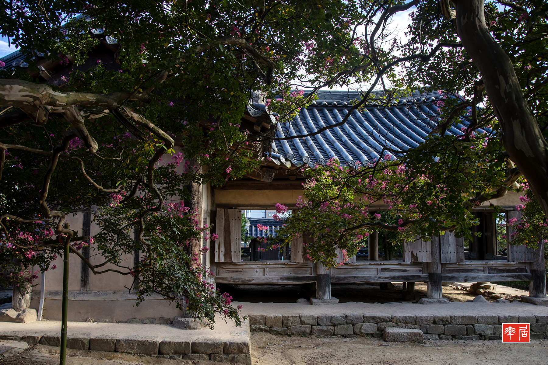 PHOTO BY changickheun | Canon EOS-1D X Mark III | 2024:08:14 17:04:53 | ISO-200 | 1/125 sec | f 7.1 | 28 mm | EV=0 | ● WIDTH:1800 pixels  HEIGHT:1200 pixels