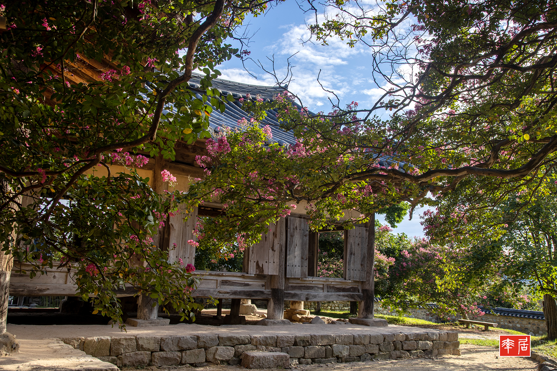 PHOTO BY changickheun | Canon EOS-1D X Mark III | 2024:08:14 17:06:41 | ISO-200 | 1/125 sec | f 9 | 32 mm | EV=0 | ● WIDTH:1800 pixels  HEIGHT:1200 pixels