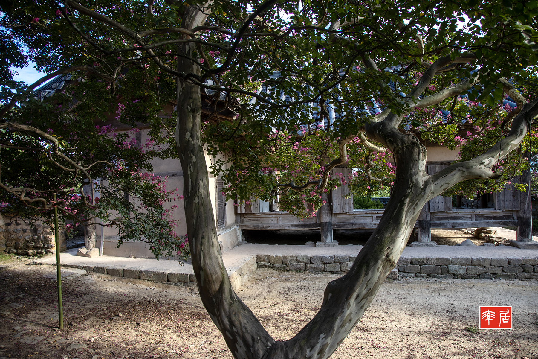 PHOTO BY changickheun | Canon EOS-1D X Mark III | 2024:08:14 17:05:07 | ISO-200 | 1/125 sec | f 7.1 | 24 mm | EV=0 | ● WIDTH:1800 pixels  HEIGHT:1200 pixels