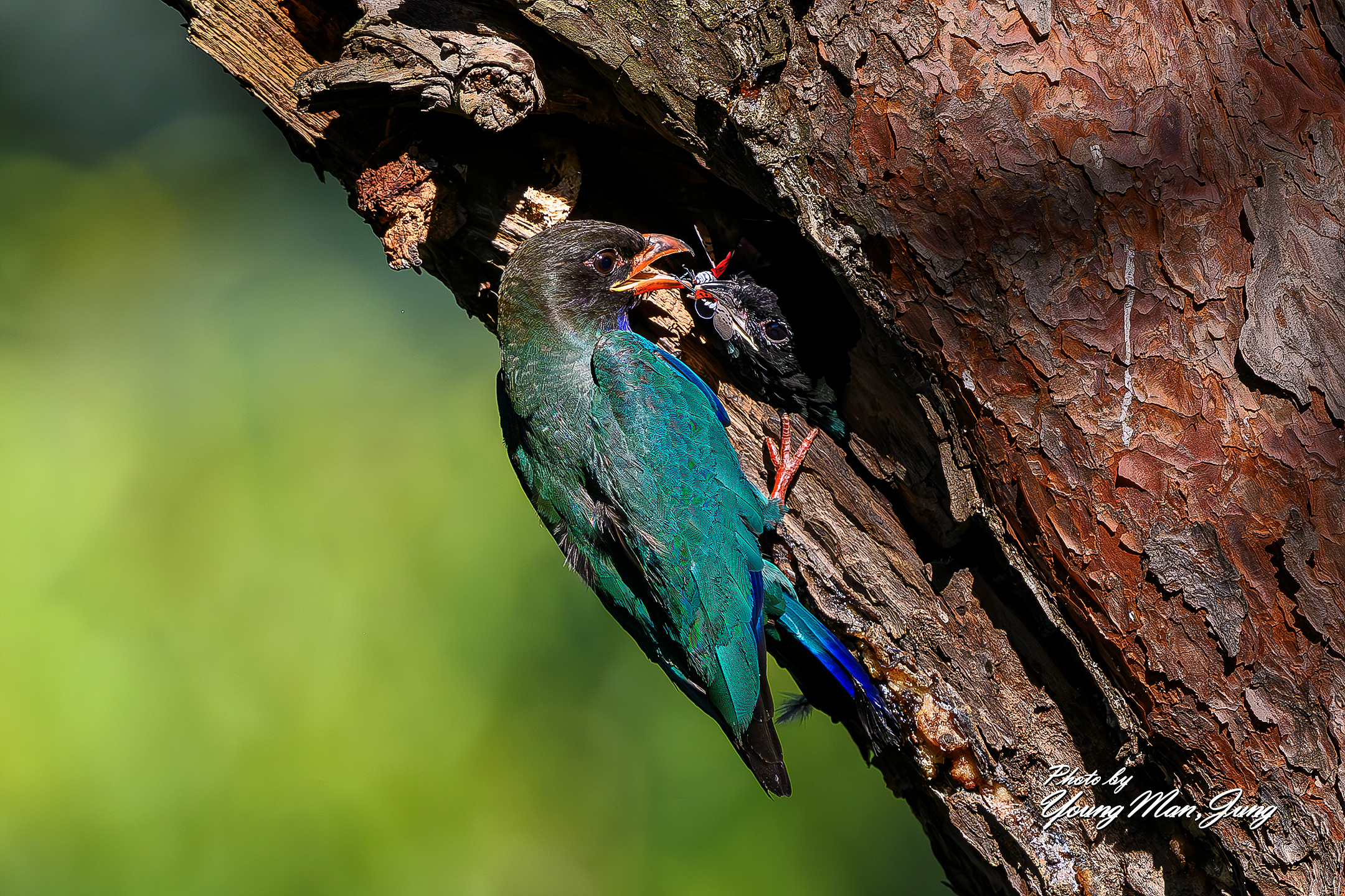 | PHOTO BY : 카파/정영만  |