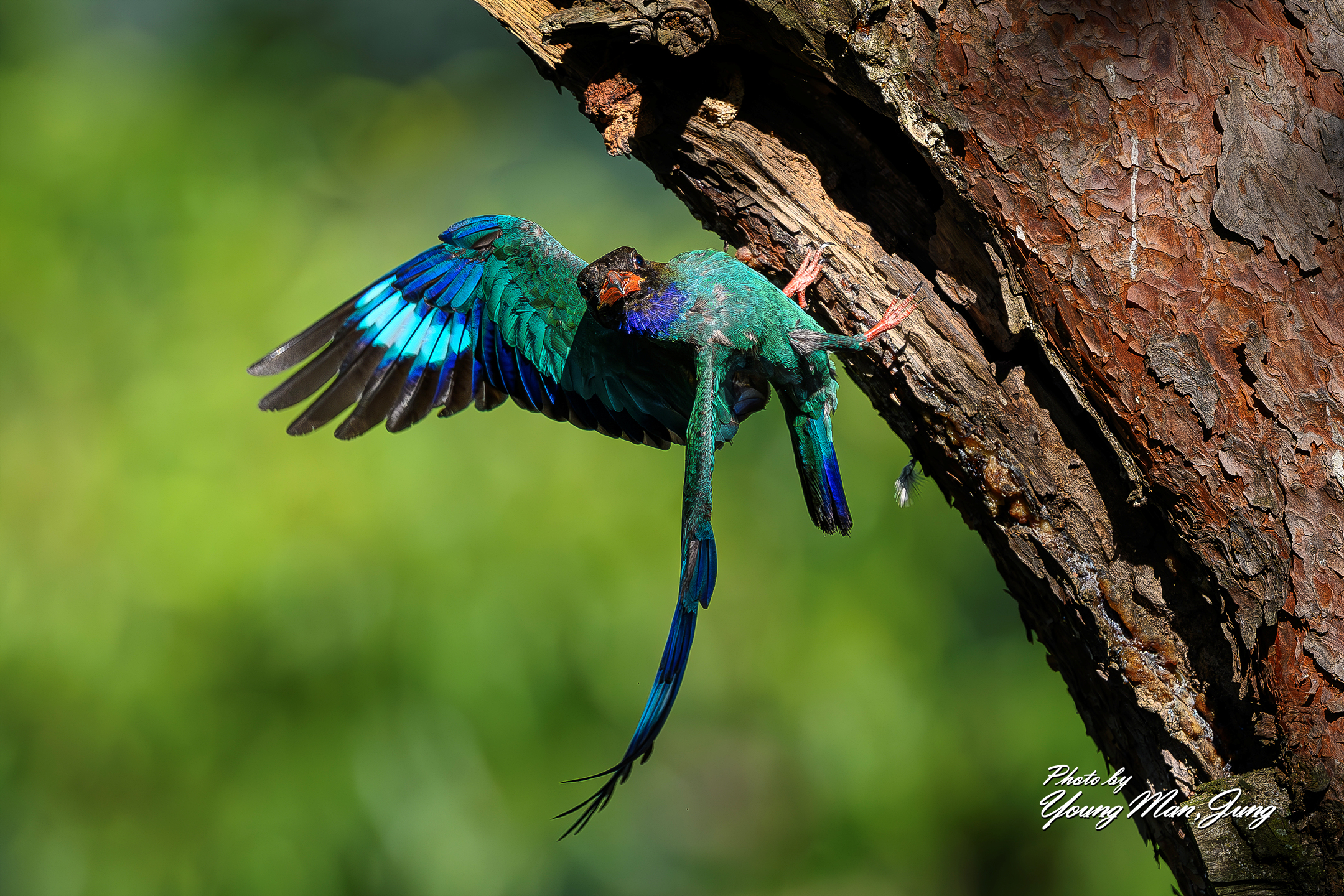 | PHOTO BY : 카파/정영만  |