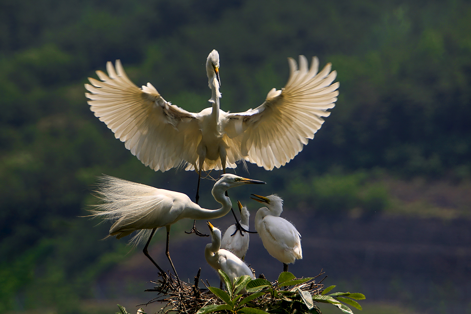 PHOTO BY  | CanonCanon  |  | ISO- |  |  |  | EV=0 | ● WIDTH:  HEIGHT: