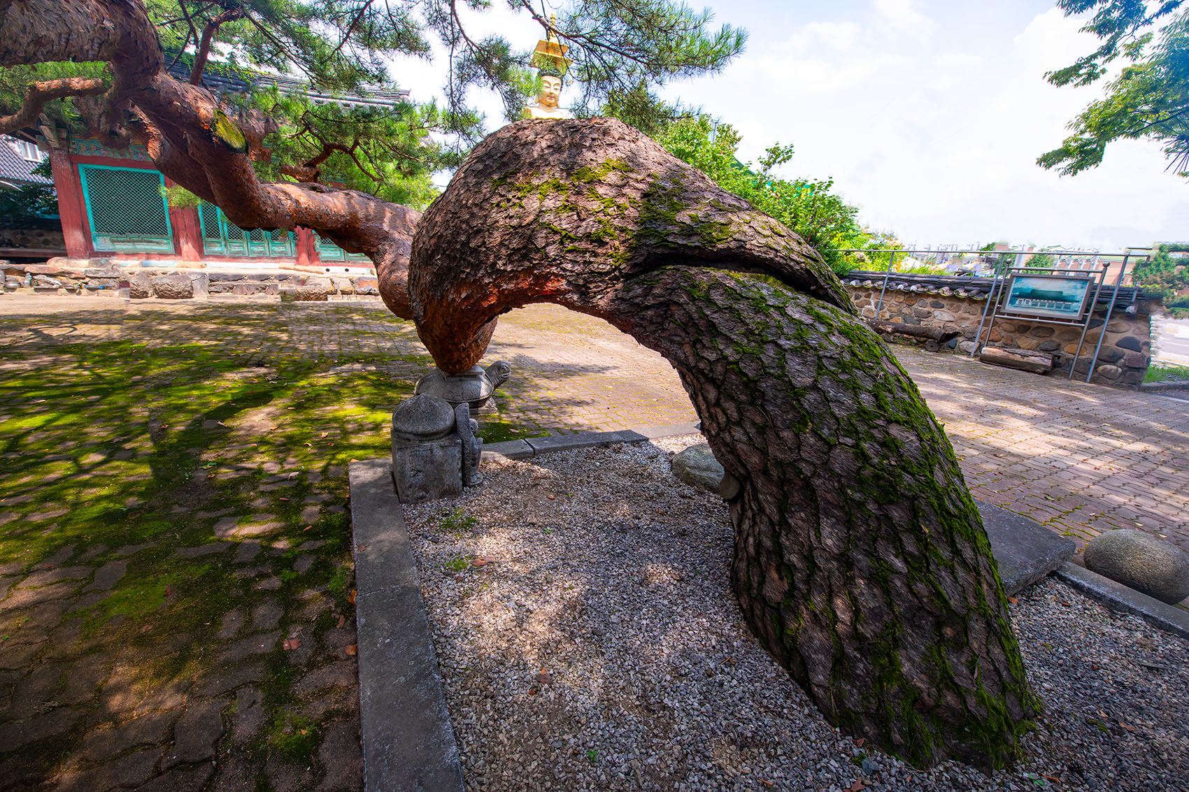 PHOTO BY  | NIKON D850 | 2024:08:05 11:20:41 | ISO-200 | 1/80 sec | f 16 | 14 mm | EV=0 | ● WIDTH:1700 pixels  HEIGHT:1133 pixels