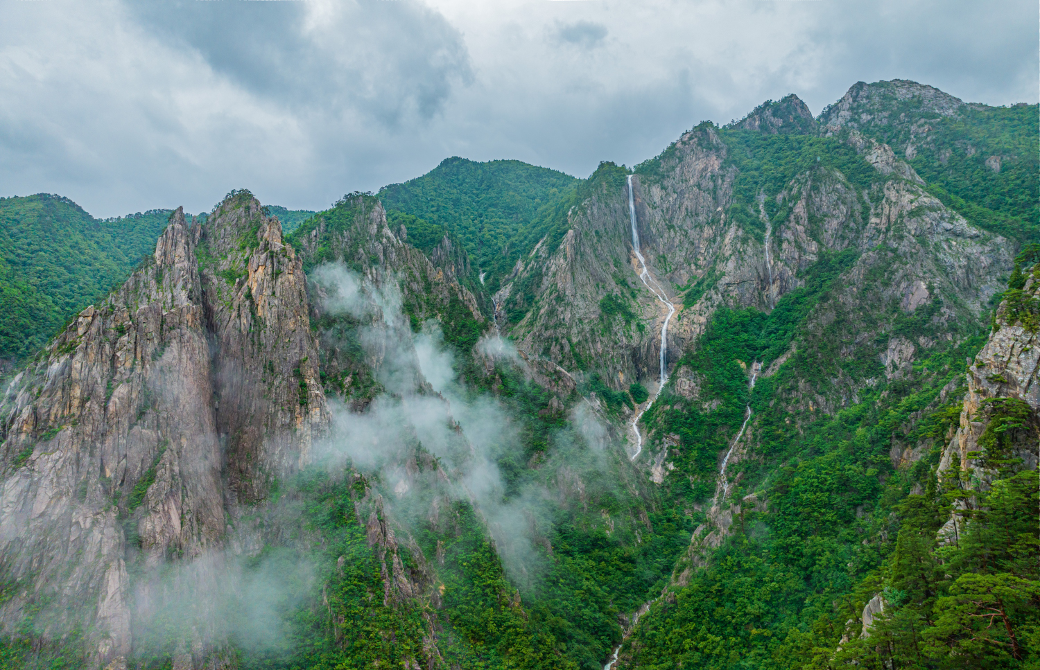 PHOTO BY  | L2D-20c | 2024:07:18 15:52:35 | ISO-300 | 1/1250 sec | f 2.8 | 12.29 mm | EV=0 | ● WIDTH:1500 pixels  HEIGHT:967 pixels