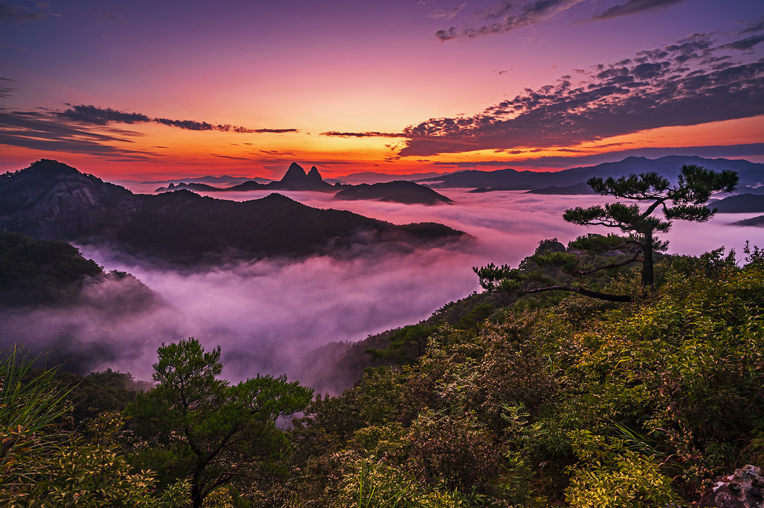 PHOTO BY  | NIKON Z 6_2 | 2024:08:17 05:29:30 | ISO-200 | 1/1 sec | f 11 | 18 mm | EV=-0.7 | ● WIDTH:1500 pixels  HEIGHT:998 pixels