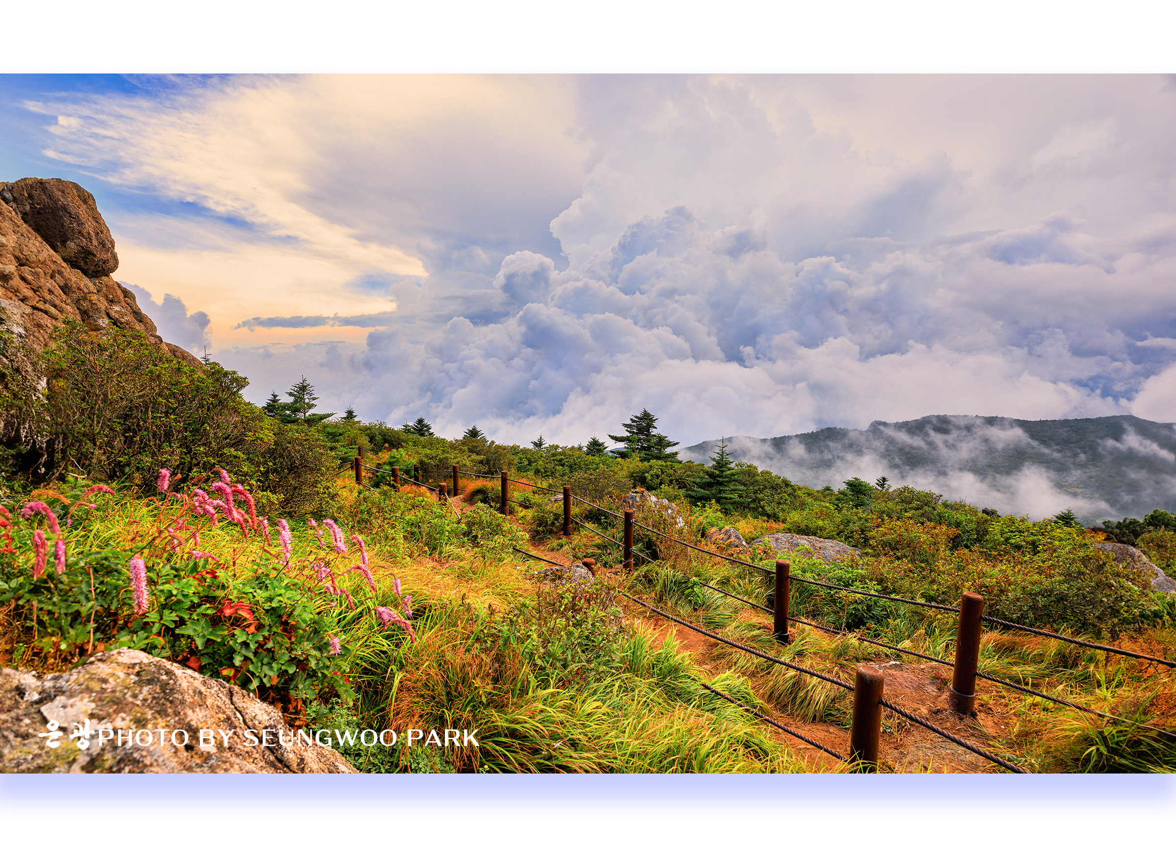 PHOTO BY PARK SEUNGWOO | Canon EOS 5D Mark IV | 2024:08:17 17:33:29 | ISO-100 | 1/30 sec | f 9 | 19 mm | EV=0 | ● WIDTH:2400 pixels  HEIGHT:1729 pixels
