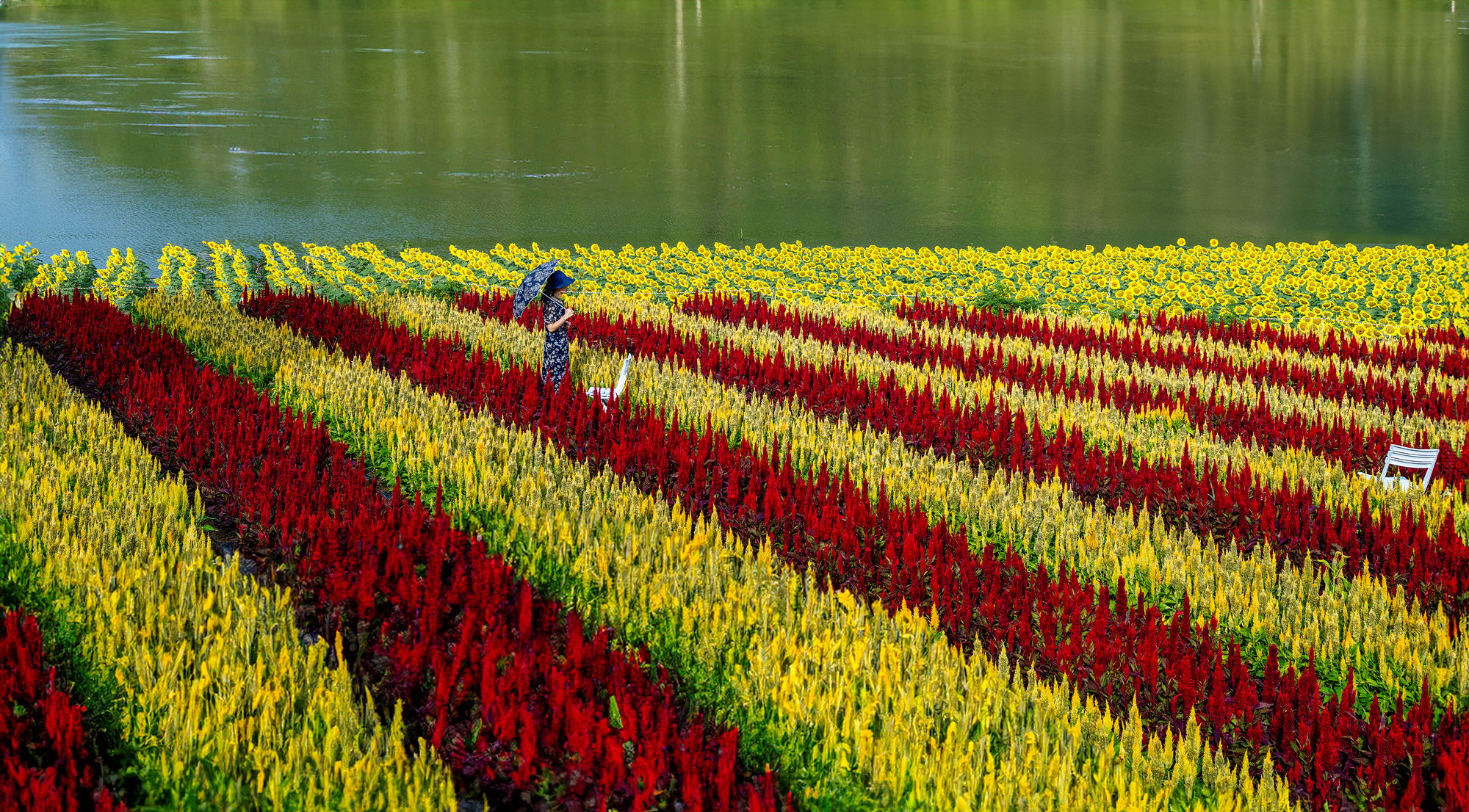 PHOTO BY  | GFX100S | 2024:08:15 07:59:06 | ISO-100 | 1/160 sec | f 8 | 35 mm | EV=0 | ● WIDTH:2000 pixels  HEIGHT:1106 pixels