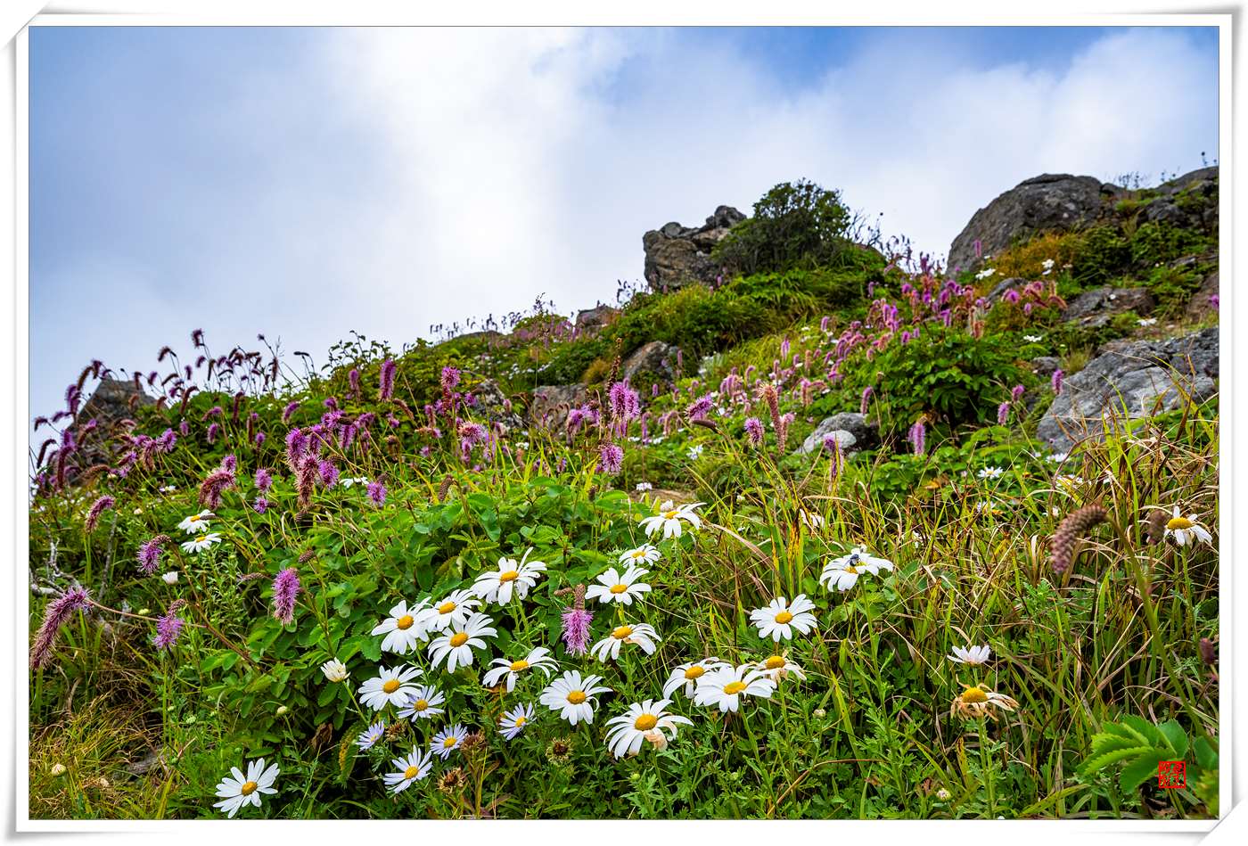 PHOTO BY LEE_T.I. | NIKON Z 7_2 | 2024:08:15 13:16:26 | ISO-100 | 1/160 sec | f 11 | 23.5 mm | EV=0 | ● WIDTH:  HEIGHT:
