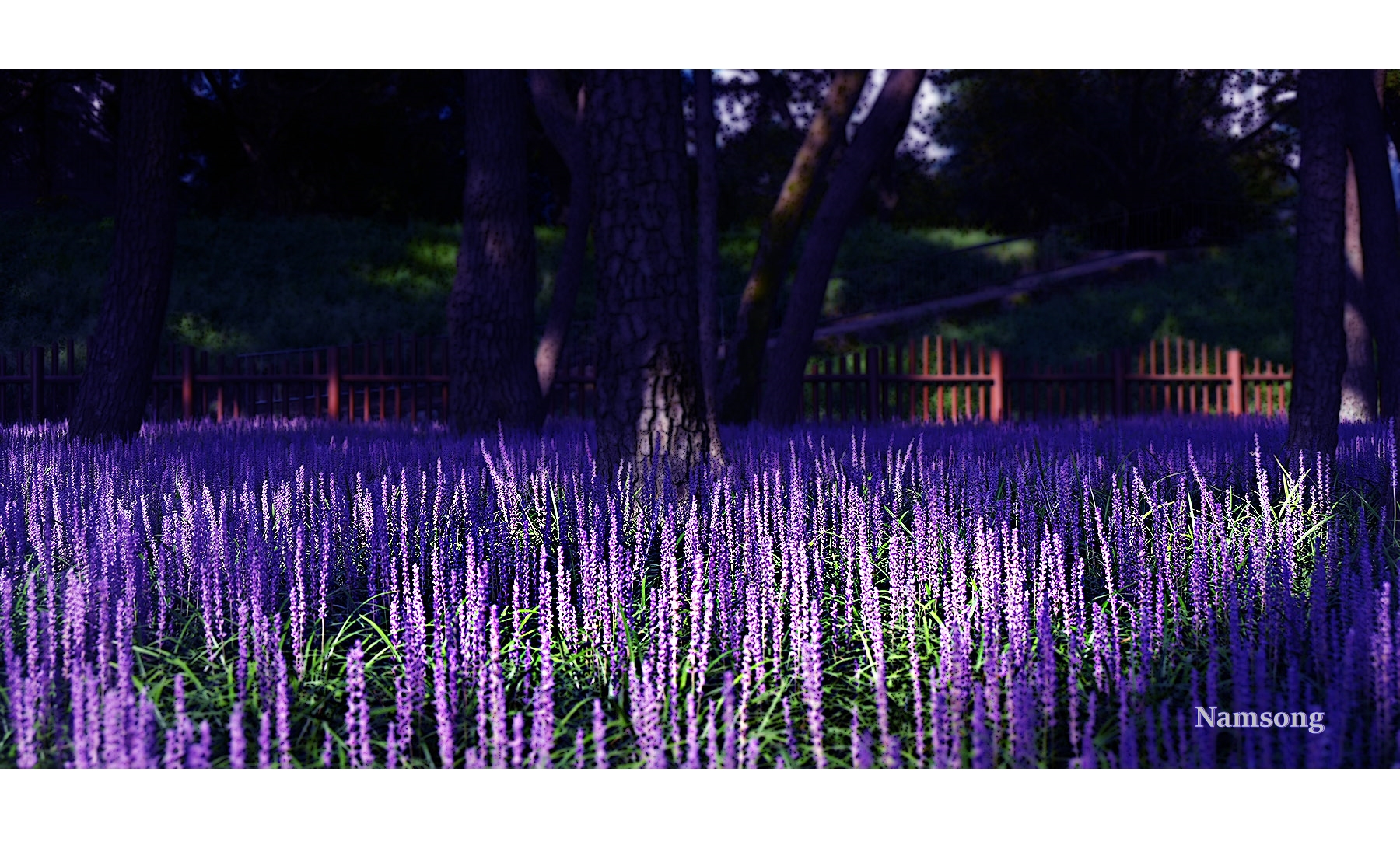 PHOTO BY  | NIKON Z 6_2 | 2024:08:18 20:16:08 | ISO-100 | 1/250 sec | f 6.3 | 48 mm | EV=0 | ● WIDTH:1800 pixels  HEIGHT:900 pixels