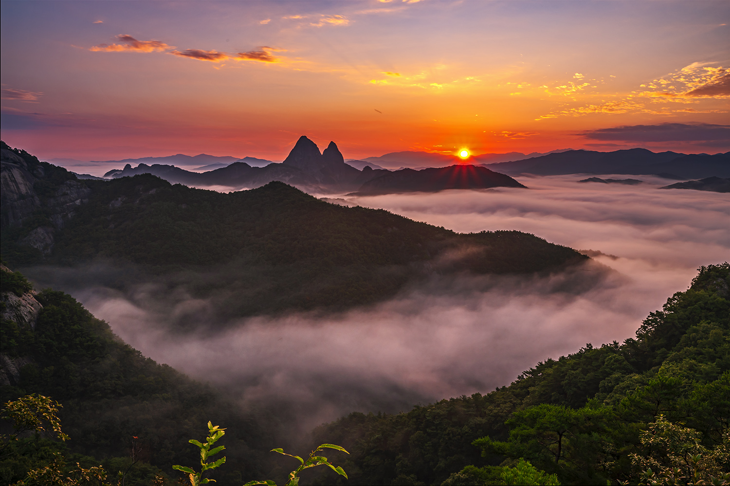 PHOTO BY  | NIKON Z 6_2 | 2024:08:17 06:00:50 | ISO-200 | 1/30 sec | f 16 | 27.5 mm | EV=0 | ● WIDTH:1500 pixels  HEIGHT:999 pixels