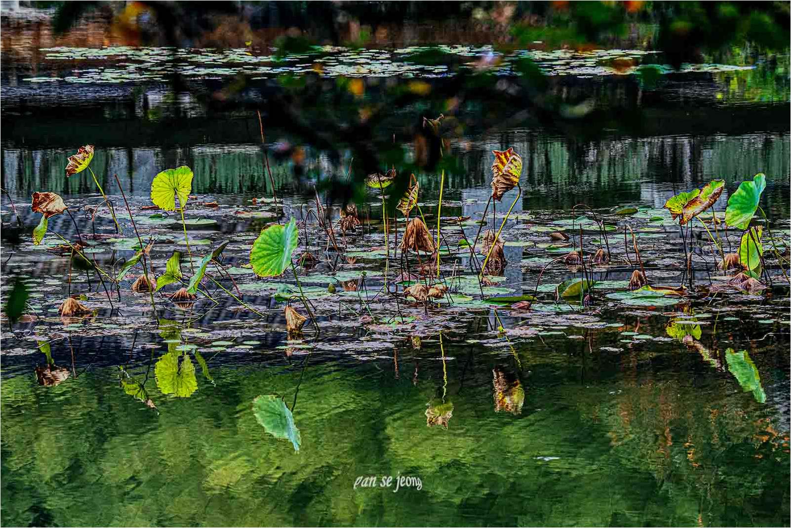 PHOTO BY JPS4607 | Canon EOS 6D Mark II | 2021:10:08 13:53:31 | ISO-400 | 1/400 sec | f 10 | 161 mm | EV=-0.3 | ● WIDTH:1602 pixels  HEIGHT:1069 pixels