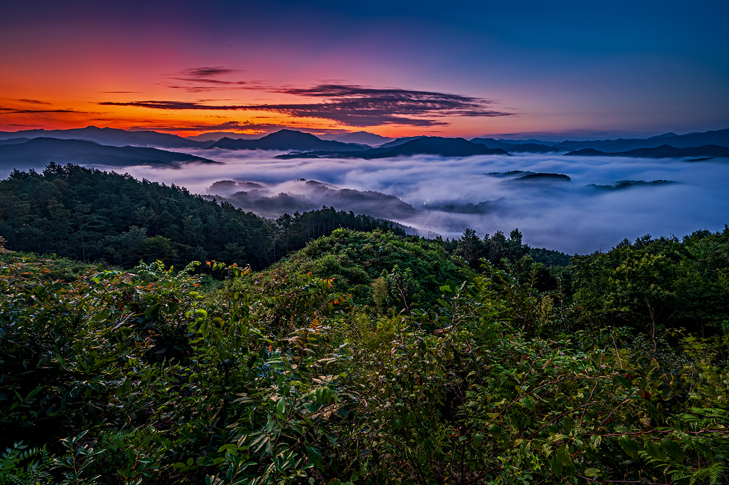 PHOTO BY  | NIKON Z 6_2 | 2024:08:19 05:28:01 | ISO-200 | 25/10 sec | f 11 | 16 mm | EV=-1 | ● WIDTH:1500 pixels  HEIGHT:998 pixels