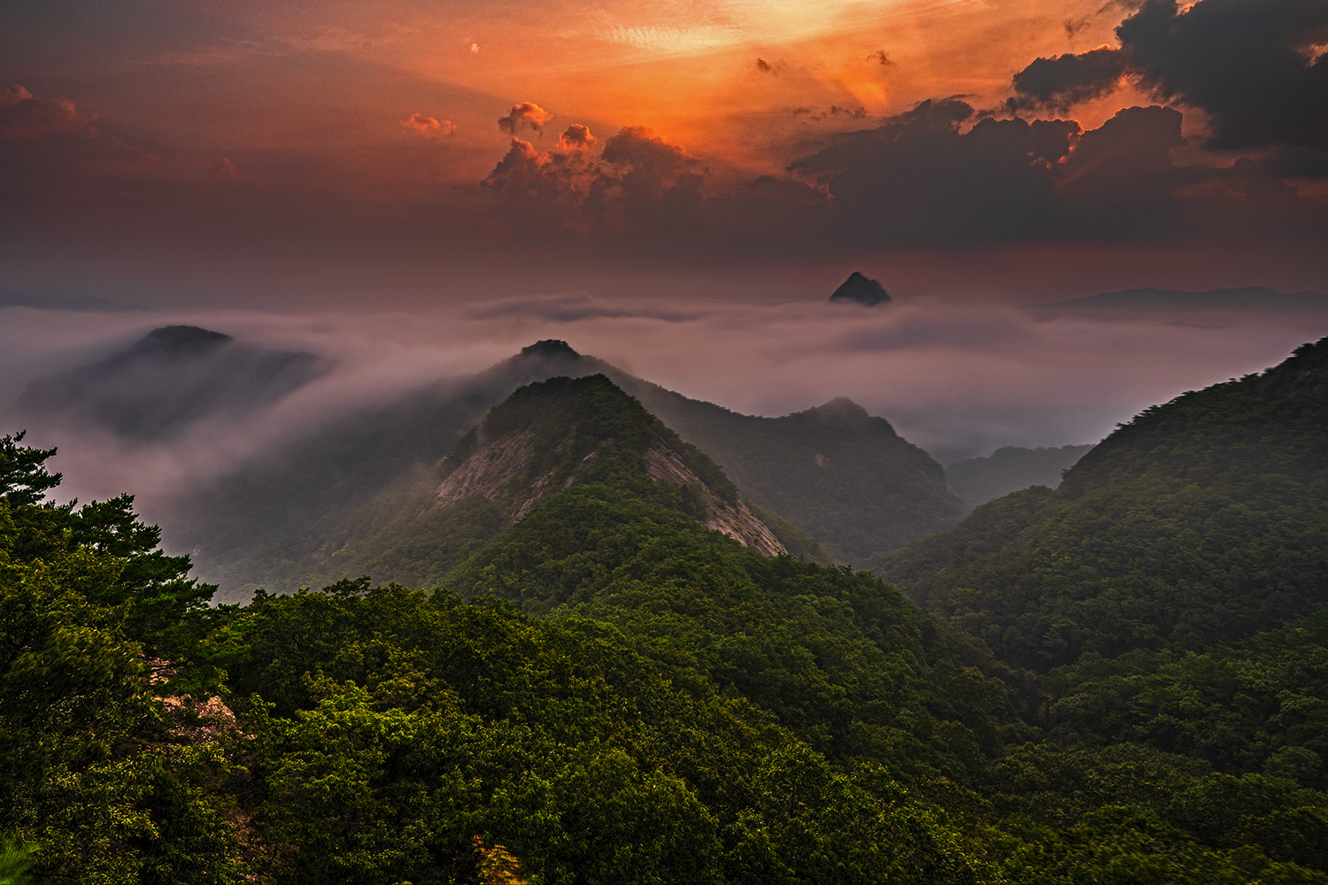 PHOTO BY  | NIKON Z 6_2 | 2024:08:26 06:28:27 | ISO-100 | 1/40 sec | f 11 | 18.5 mm | EV=-0.3 | ● WIDTH:1500 pixels  HEIGHT:1000 pixels