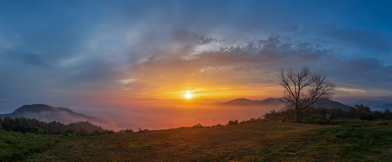 PHOTO BY  | Canon EOS 5D Mark IV | 2024:08:27 06:08:28 | ISO-250 | 1/80 sec | f 8 | 16 mm | EV=0 | ● WIDTH:1578 pixels  HEIGHT:652 pixels