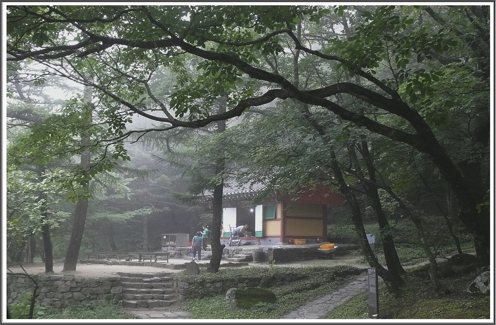 PHOTO BY  | V-LUX 1 | 2024:08:28 14:22:38 | ISO-400 | 1/100 sec | f 3.6 | 7.4 mm | EV=-0.3 | ● WIDTH:3648 pixels  HEIGHT:2736 pixels