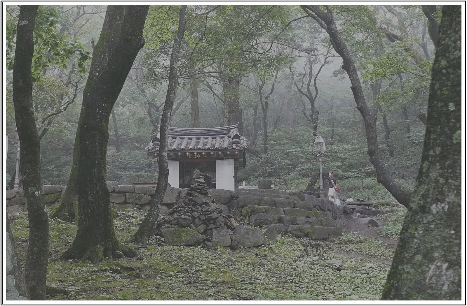 PHOTO BY  | V-LUX 1 | 2024:08:28 14:24:11 | ISO-400 | 1/40 sec | f 2.8 | 7.4 mm | EV=-0.3 | ● WIDTH:3648 pixels  HEIGHT:2736 pixels