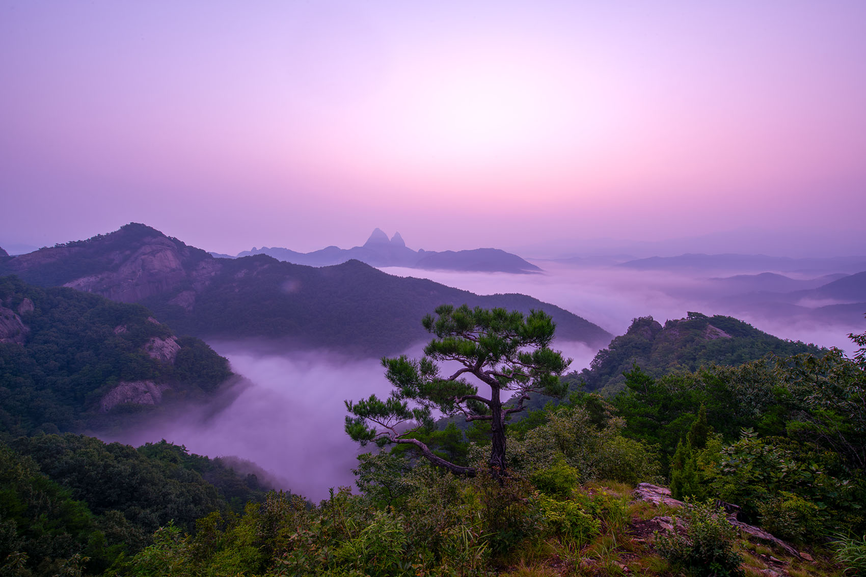 PHOTO BY  | NIKON D850 | 2024:08:24 05:37:28 | ISO-80 | 8/10 sec | f 22 | 17 mm | EV=0 | ● WIDTH:1700 pixels  HEIGHT:1133 pixels