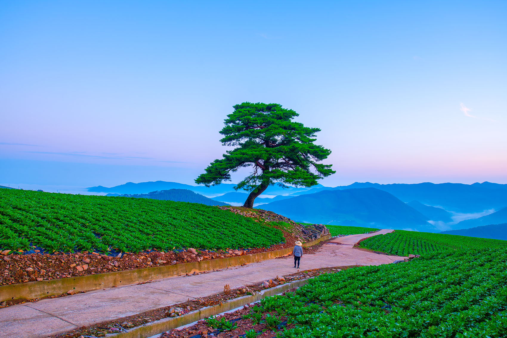 PHOTO BY  | NIKON D850 | 2024:08:10 05:12:23 | ISO-100 | 1/8 sec | f 6.3 | 24 mm | EV=0 | ● WIDTH:1700 pixels  HEIGHT:1133 pixels