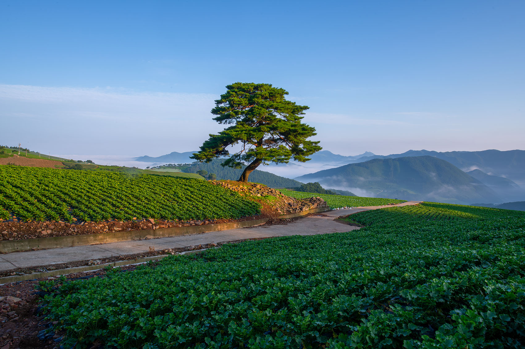 PHOTO BY  | NIKON D850 | 2024:08:10 06:16:37 | ISO-100 | 1/30 sec | f 22 | 24 mm | EV=0 | ● WIDTH:1700 pixels  HEIGHT:1133 pixels